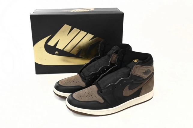 Air DZ5485-020 Jordan OG 1 High Palomino 0825